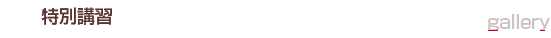 ���ֽ̹� ���ʽ�-�������̶���